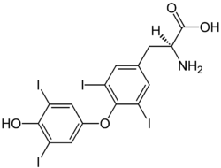(S)-Thyroxine Structural Formulae.png