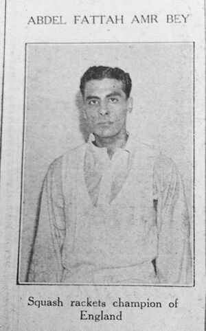 عبد الفتاح عمرو.jpg