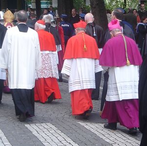 In the Catholic Church, cardinals now wear scarlet and bishops wear amaranth.