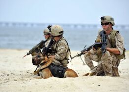 A SEAL platoon performs a land warfare demonstration