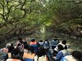 The 'green tunnel' of mangrove in Sihcao, Tainan, Taiwan