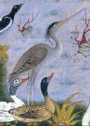 "The Concourse of the Birds", Folio 11r from a Mantiq al-tair (Language of the Birds) MET DT227736.jpg