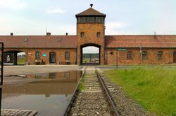Birkenau múzeum - panoramio (cropped).jpg