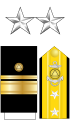 The collar stars, shoulder boards, and sleeve stripes of a National Oceanic and Atmospheric Administration Commissioned Officer Corps rear admiral