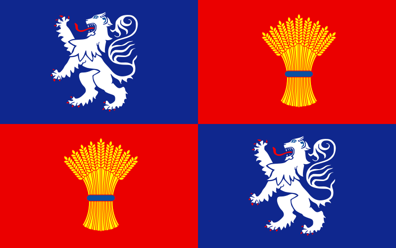 ملف:Flag of Gascogne.svg