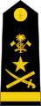 ޖެނެރަލްcode: dv is deprecated General (Maldivian Marine Corps)