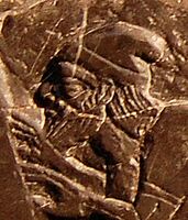 Jehu on the Black Obelisk of Shalmaneser III.[13] This is "the only portrayal we have in ancient Near Eastern art of an Israelite or Judaean monarch".[4]