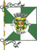 علم Vila Real