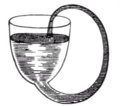 The "Capillary Bowl". It was thought that the capillary action would keep the water flowing in the tube, but since the cohesion force that draws the liquid up the tube in first place holds the droplet from releasing into the bowl, the flow is not perpetual.