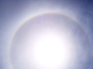 Cirrostratus showing an extremely large halo as seen from the ground.
