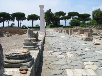 Stone pines along the Via Appia, one of the most important Roman roads, near Rome, Italy.