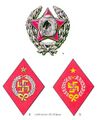 Badges worn by the Kalmyk formations of the Red Army in 1919