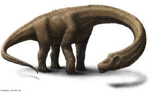 Artist Rendering 2 - Hall - Dreadnoughtus reconstruction.jpg