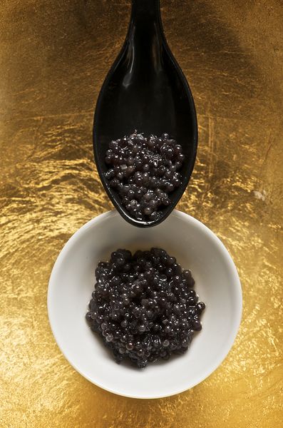 ملف:Caviar and spoon.jpg