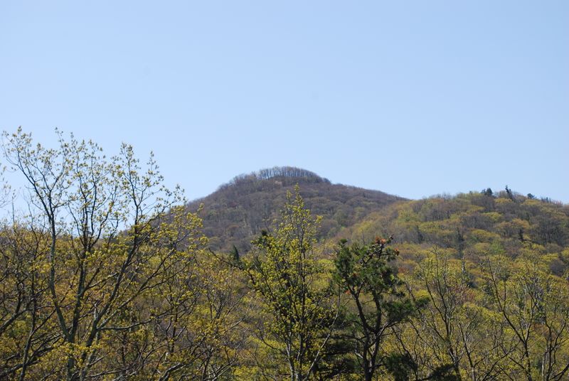 ملف:Shenandoah Mountain - High Knob.jpg