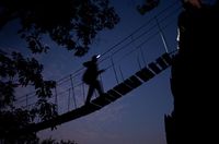 جسر حبلي في غابات تسينگي.