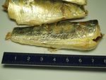 Canned sardines in salt water, metric ruler (cm)