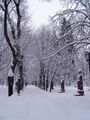 Winter in Chişinău