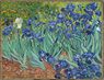 Irises-Vincent van Gogh.jpg