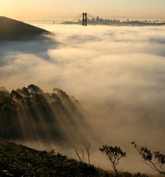 ملف:San francisco in fog with rays.jpg