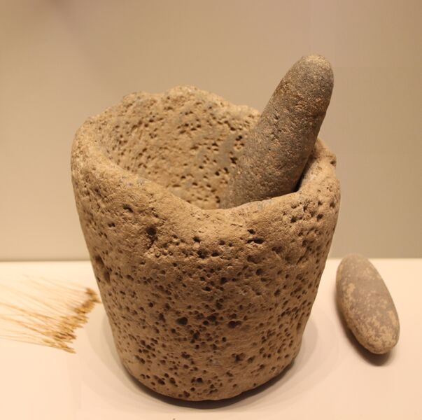 ملف:Stone Age Stone Mortar & Pestle, Kebaran culture, 22000-18000 BP.jpg
