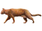 202104 Cat.svg