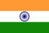 State flag of India