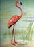 Flamingo by John Henry Hintermeister, 1908.jpg