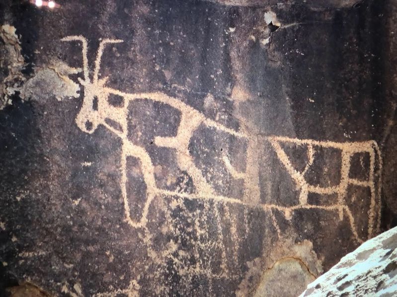 ملف:صورة للنقوش الأثرية التي عثر عليها في جبل اللوز1.jpg