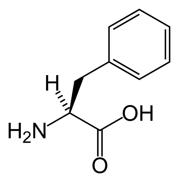 ملف:L-phenylalanine-skeletal.png