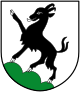 درع Kitzbühel