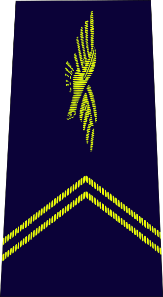 ملف:French Air Force-élève officier.svg