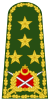 Turkey-army-OF-9.svg