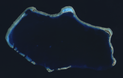Bikini Atoll. The crater formed by the Castle Bravo nuclear test can be seen on the northwest cape of the atoll.