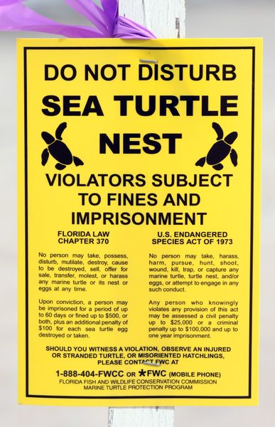 ملف:Sea turtle nest sign (Boca raton, FL).jpg