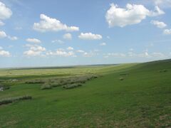 The Mongolian-Manchurian grassland in Inner Mongolia, China.