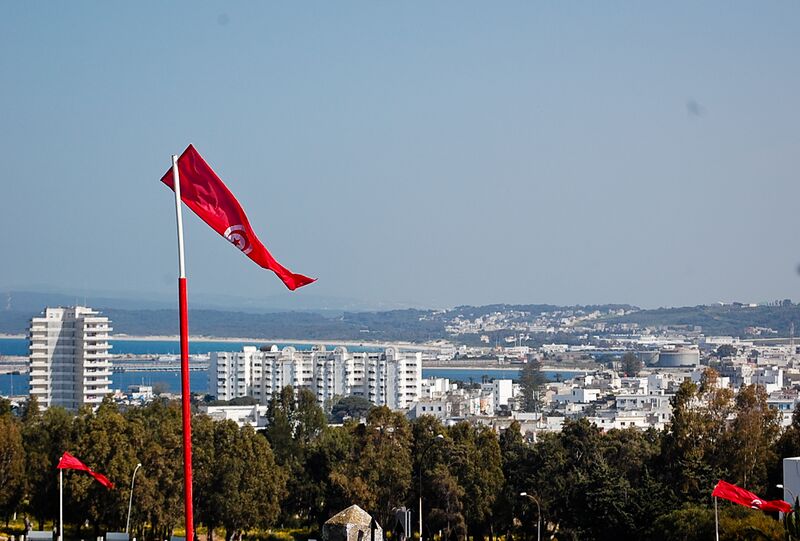 ملف:Drapeau de la Tunisie.jpg