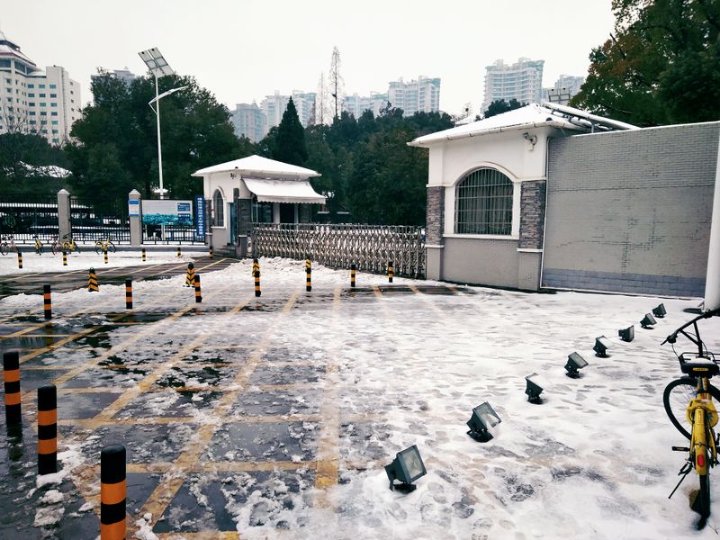ملف:Winter of Wuhan.jpg