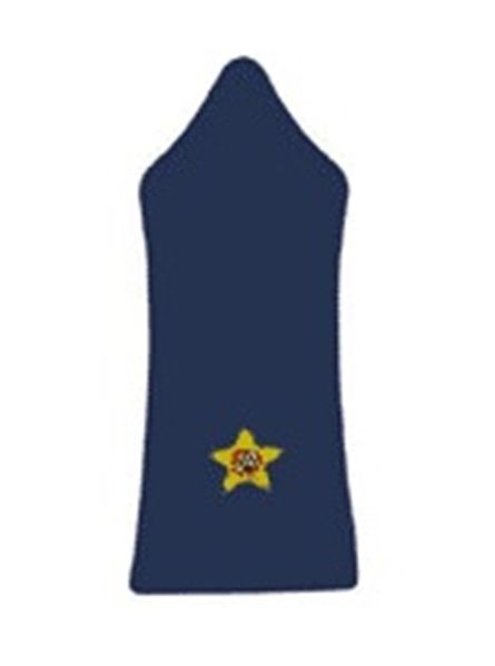 ملف:Lebanese-army-insignia-Second-Lieutenant.jpg