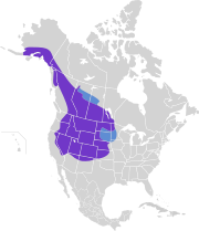 خريطة النطاق