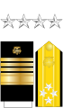 The collar stars, shoulder boards, and sleeve stripes of a U.S. Public Health Service admiral