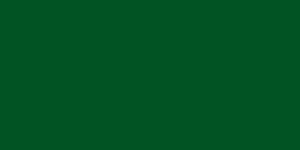 The former flag of Libya (1977–2011) was the only flag in the world with a single color and no design or details.