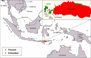 Komodo dragon distribution.gif