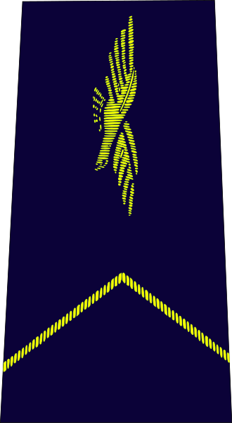 ملف:French Air Force-aspirant EOPN.svg