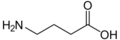 γ-Aminobutyric acid (GABA): a neurotransmitter in animals.