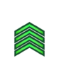 General Directorate of Public Security- Sergeant.png