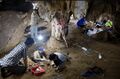 Excavation works in Gua Pelangi, Pasoh Caves Complex