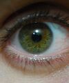 Hazel green eye close up.jpg