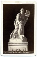 Picture of the Uffizi sculpture representing Niobe photographed by Giorgio Sommer