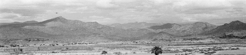 ملف:صورة بانورامية لشمال بارق عام 1946.png